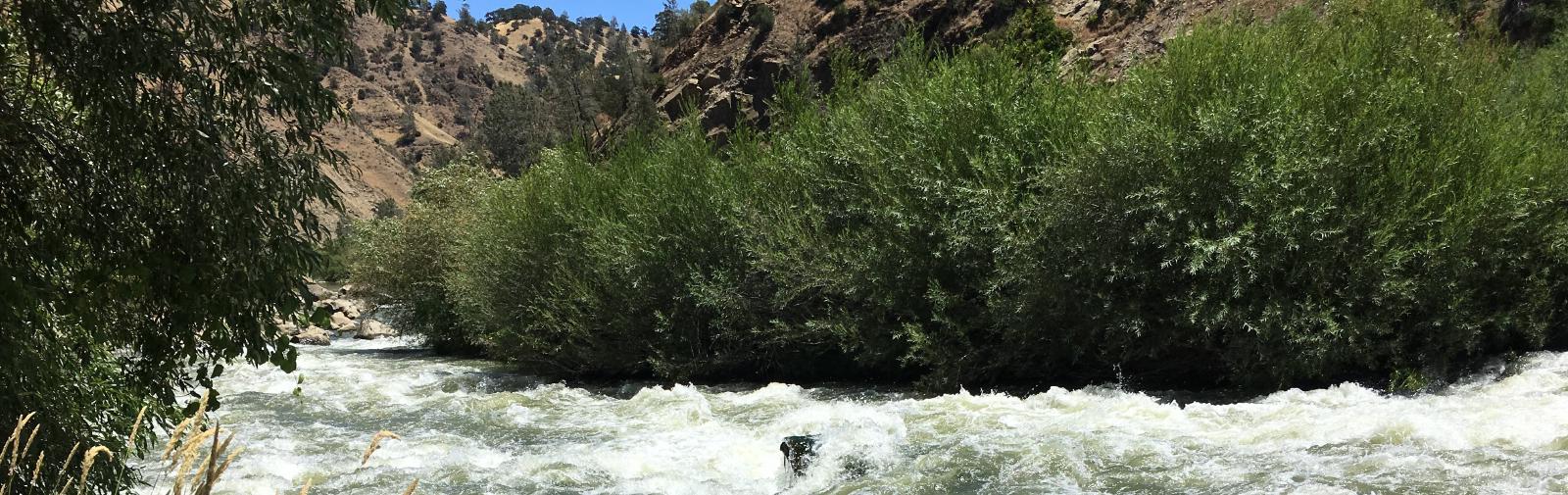 Majestic Cache Creek Rapids